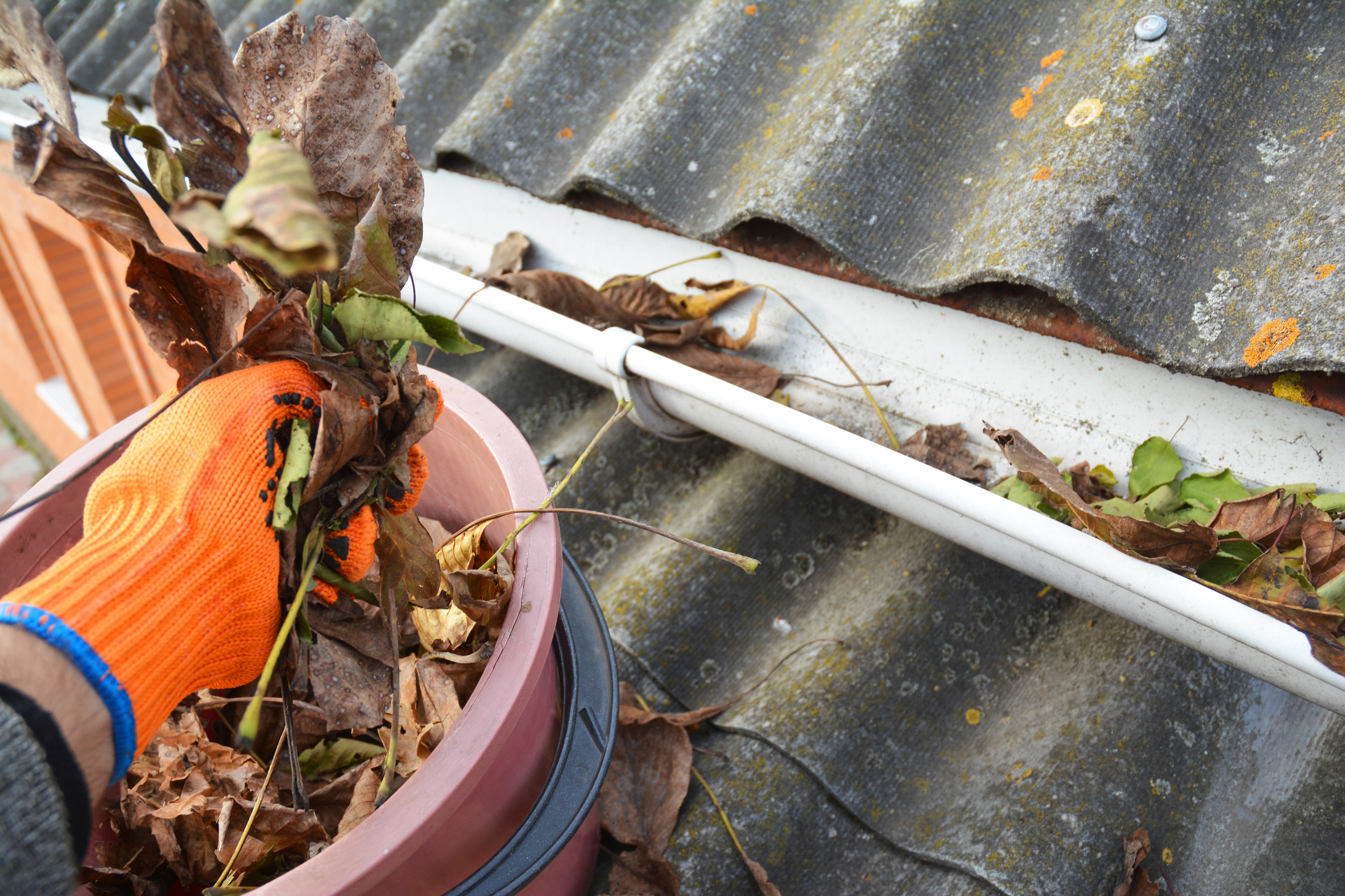 Rain gutters cleaning from leaves. Asbestos roof gutter cleaning.